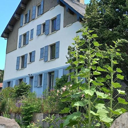 Chalet Du Doumet - Appart Luz Centre - Parking Et Garage Individuel Ferme - Draps Et Serviettes Inclus Luz-Saint-Sauveur Exteriör bild