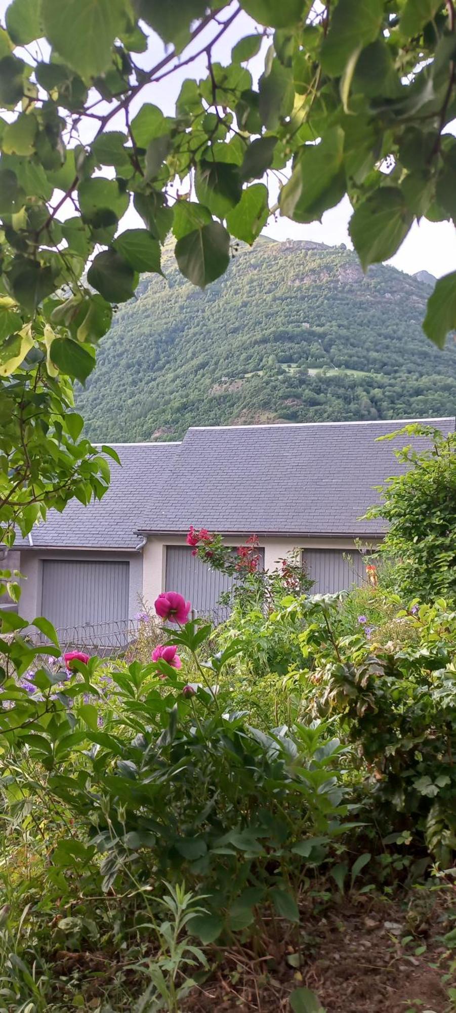Chalet Du Doumet - Appart Luz Centre - Parking Et Garage Individuel Ferme - Draps Et Serviettes Inclus Luz-Saint-Sauveur Exteriör bild